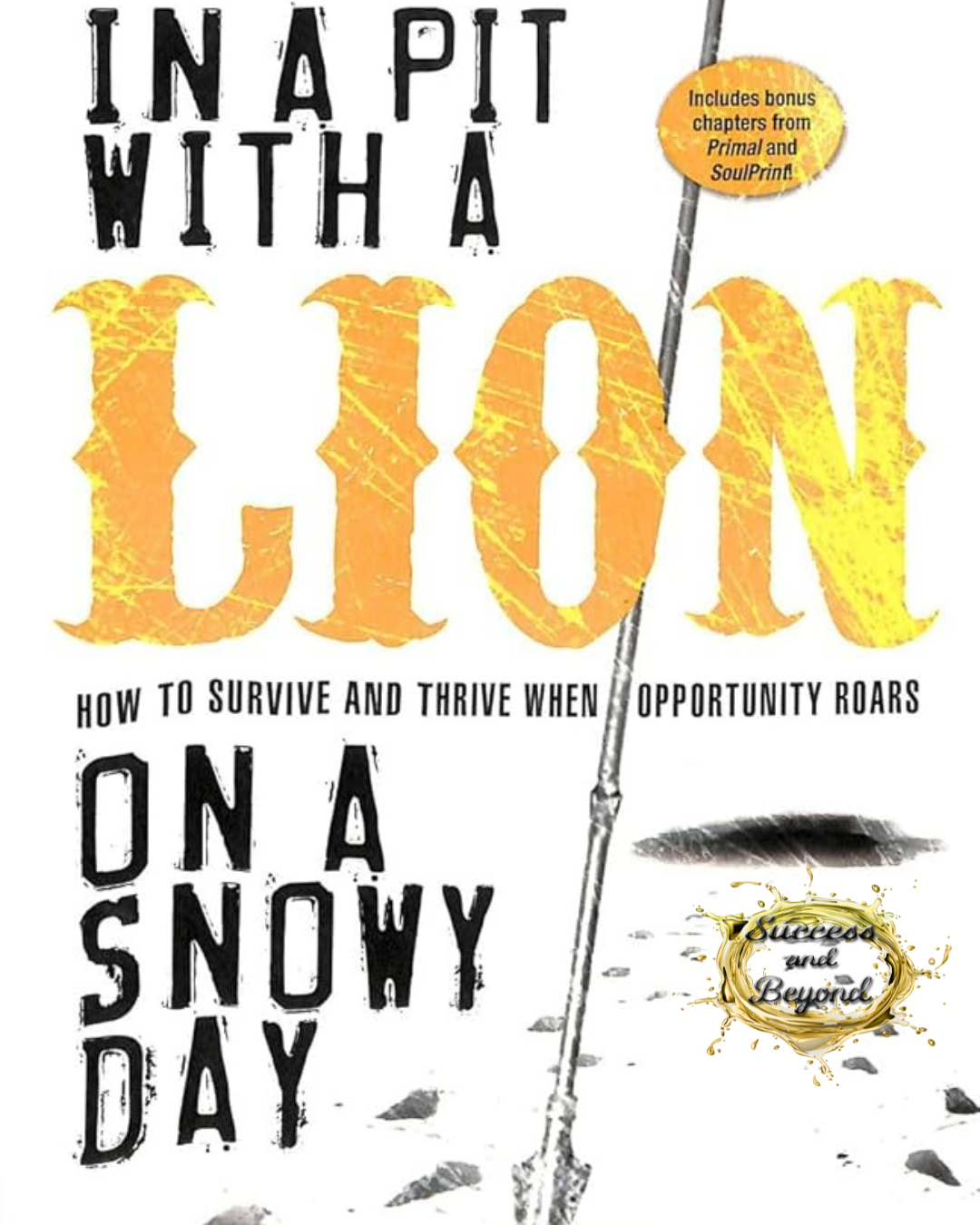 Book Summary of In a Pit with a Lion on a Snowy Day by Mark Batterson: Turn Challenges into Opportunities